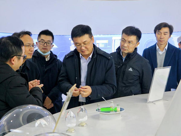 中國電力黨委委員、副總裁薛信春一行蒞臨我司考察調(diào)研 
