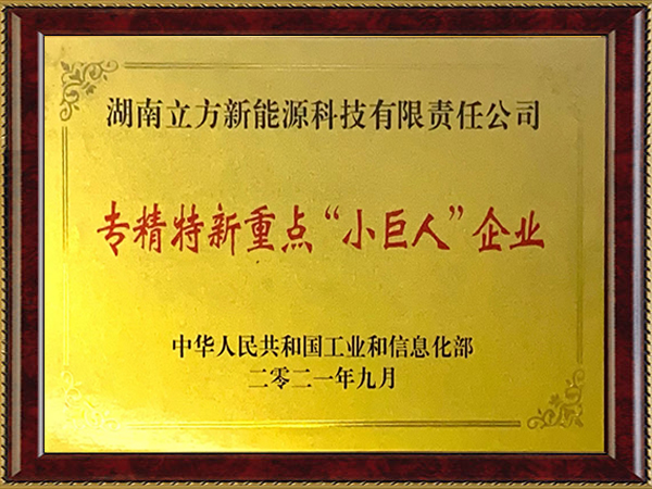 國家專精特新重點(diǎn)“小巨人”企業(yè)