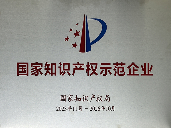 國家知識(shí)產(chǎn)權(quán)示范企業(yè)