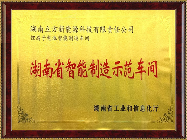 湖南省智能制造示范車間